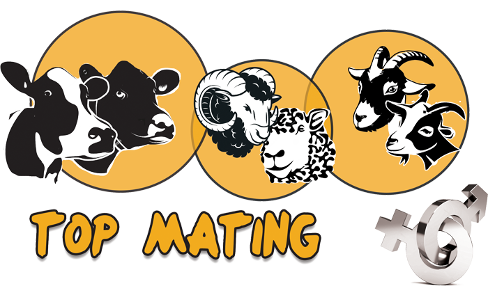 top mating logo